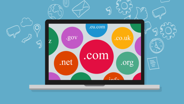 Website Premium Plus